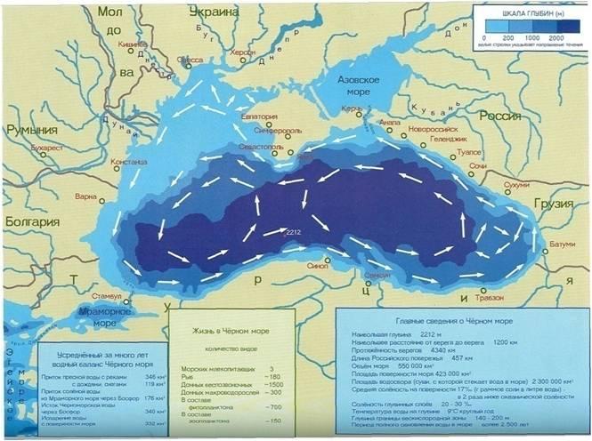 Очки книповича в черном море фото